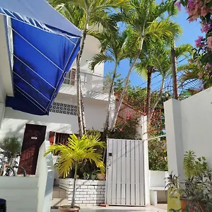 https://hotel-casa-coco.santodomingobesthotels.com